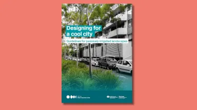 Designing for a cool city cover image