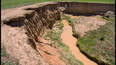 Image of soil erosion - image courtesy of wikimedia commons