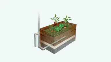 Cross section of a vegetable raingarden