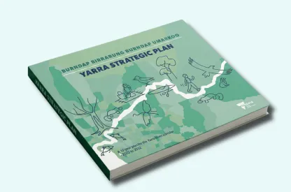Yarra strategic plan report